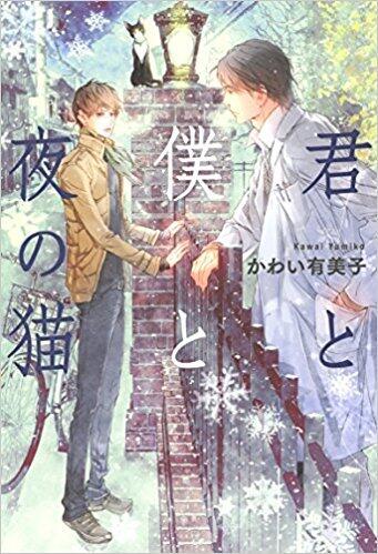 君と僕の夜の猫