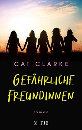 Gefährliche Freundinnen (Roman)