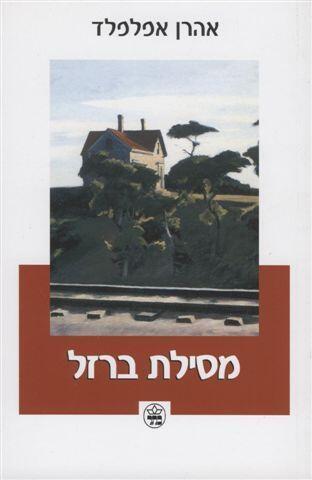 מסילת ברזל