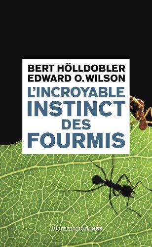 L'Incroyable Instinct des Fourmis: De la Culture du Champignon à la Civilisation