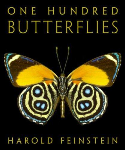 One Hundred Butterflies