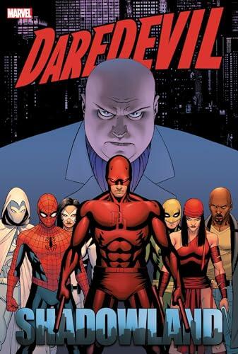 Daredevil: Shadowland Omnibus