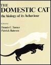Domestic Cat