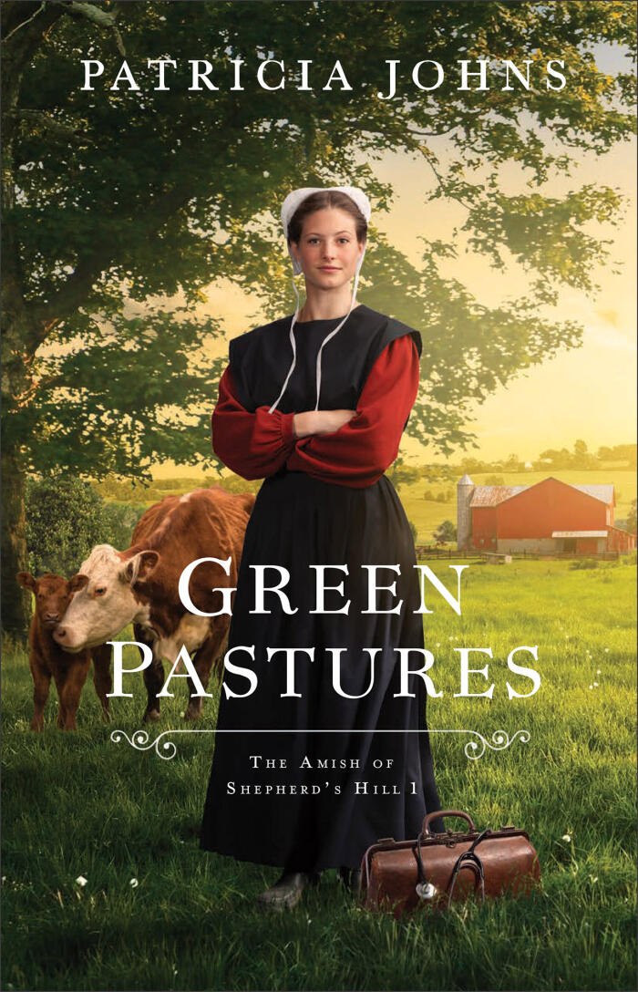 The Amish of Shepherd's Hill