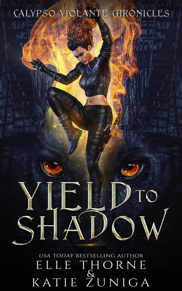 Yield to Shadow