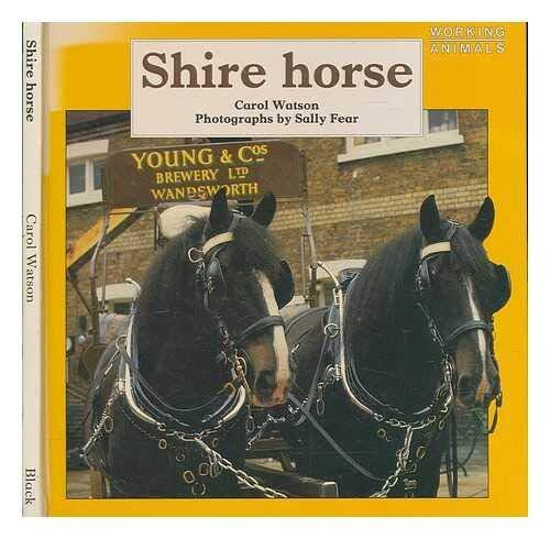 Shire Horse