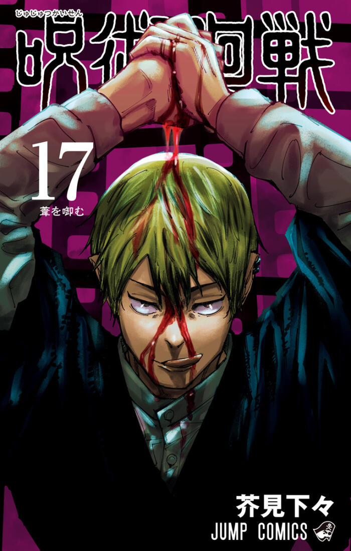 Jujutsu Kaisen (17)
