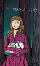NANO Fiction Volume 5, Number 2