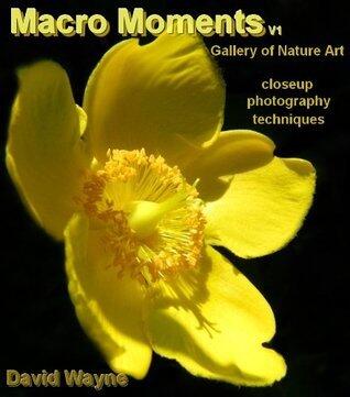 Macro Moments V1