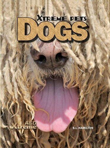 Xtreme Pets