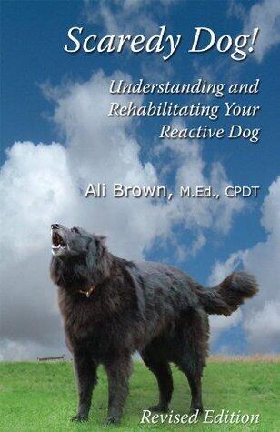 Scaredy Dog! Understanding & Rehabilitating Your Reactive Dog