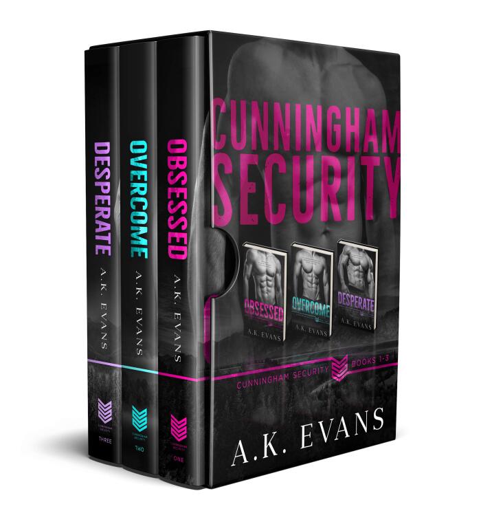 Cunningham Security Box Set 1