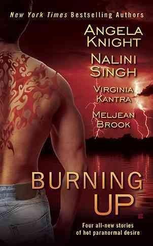 [(Burning Up)] [By (author) Meljean Brook ] published on