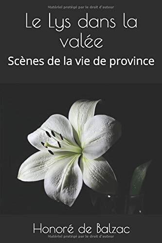 Le Lys dans la valée: Scènes de la vie de province