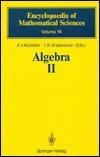Algebra II: Noncommutative Rings Identities