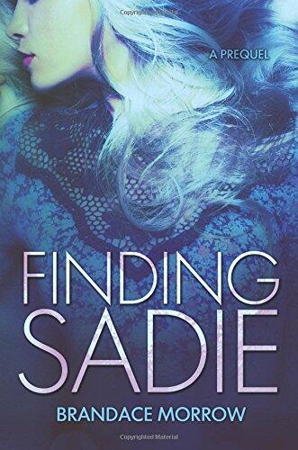 Finding Sadie: Finding Sadie serial book 1