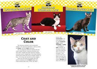 Cats