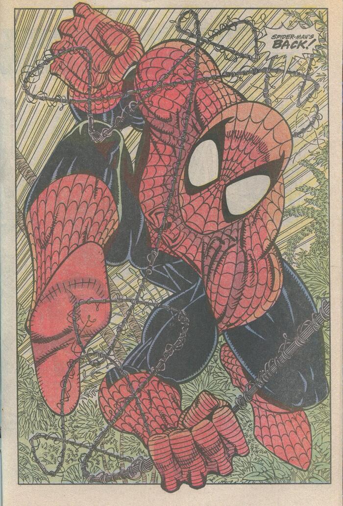 The Amazing Spider-Man #343 : War Garden