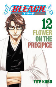 Bleach 12: Flower on a Precipice
