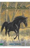 The Challenger (Phantom Stallion)
