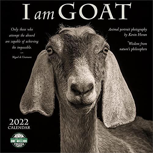 Small Changes I Am a Goat 2022 Calendar