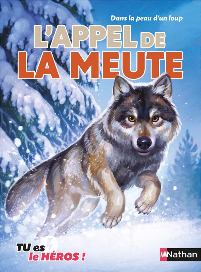 Tu es le héros