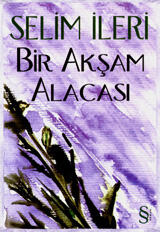 Bir Akşam Alacası