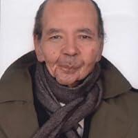 محمد عناني