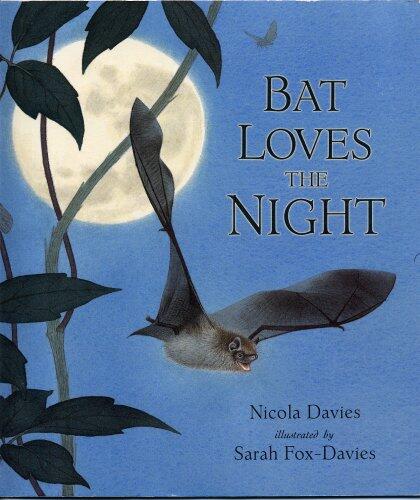 Bat Loves the Night