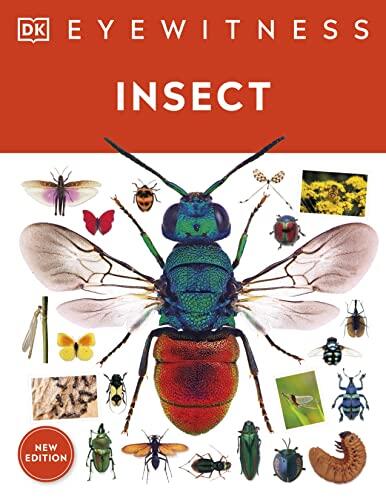 Eyewitness Insect