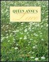 Queen Anne's Lace