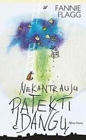 Nekantrauju patekti į dangų