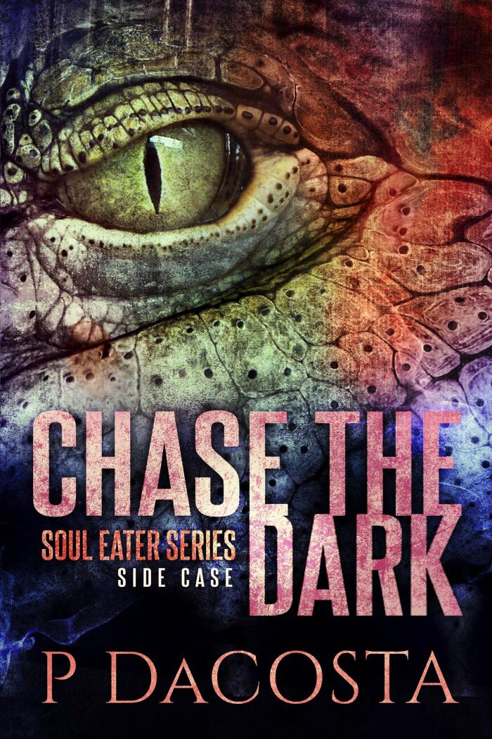 Chase The Dark