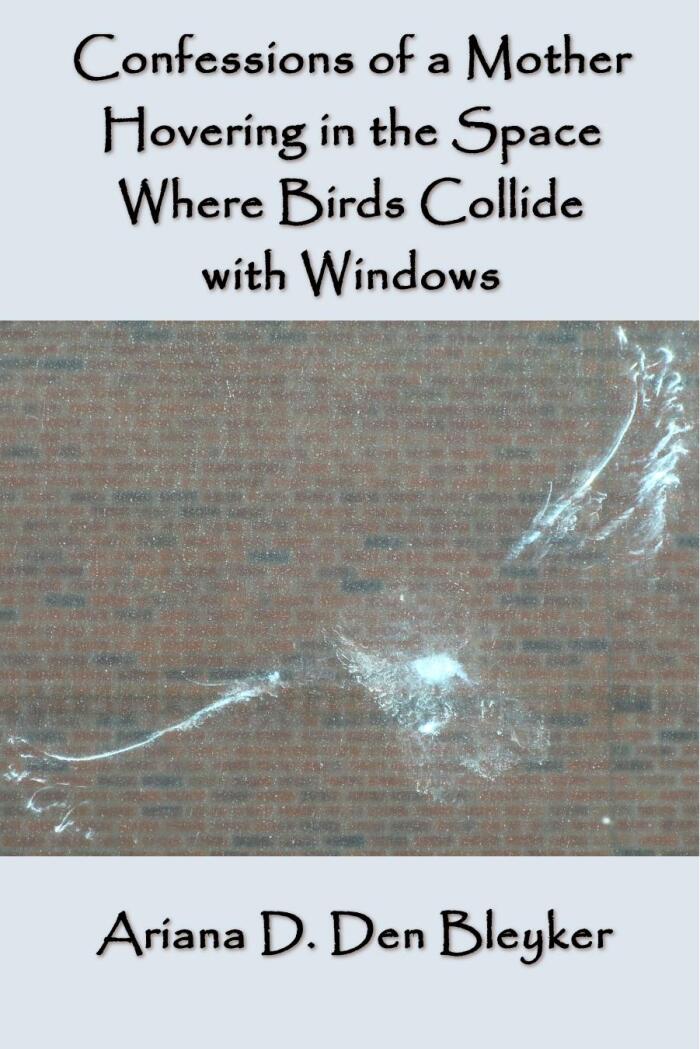 Confessions of a Mother Hovering in the Space Where Birds Collide with Windows