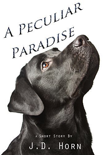 A Peculiar Paradise