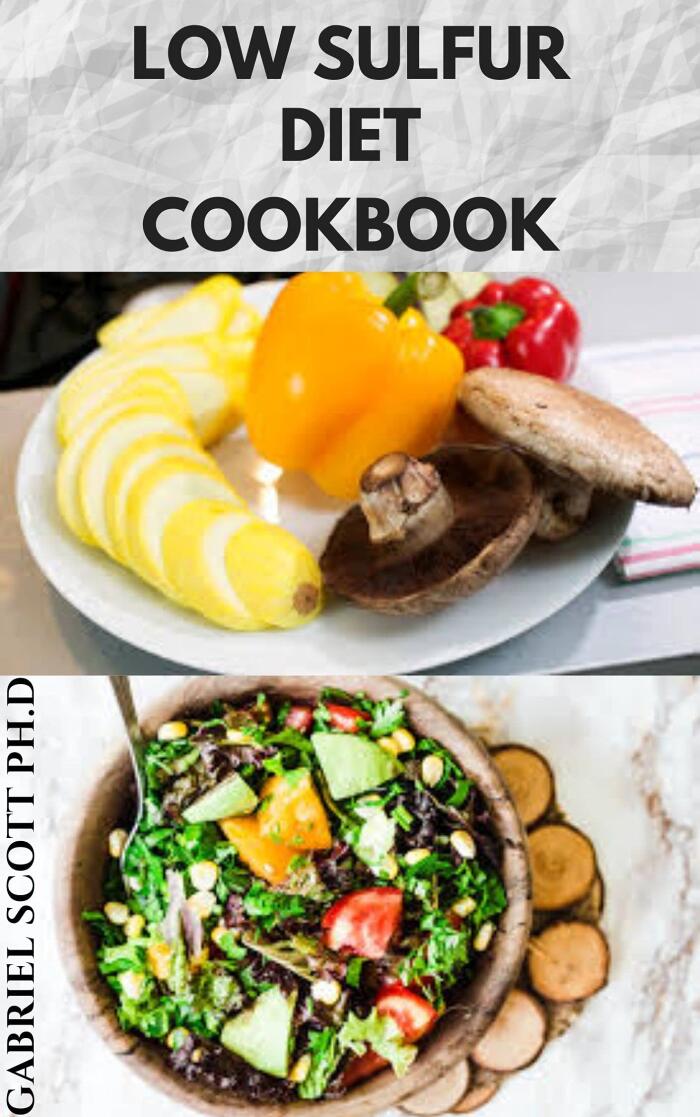 LOW SULFUR DIET COOKBOOK: Delicious and Healthy Recipes On Reducing SIBO Symptoms And Staying Healthy Includes Meal Plan And How To Get Started