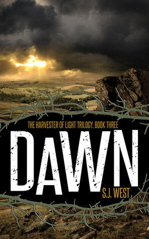 Dawn