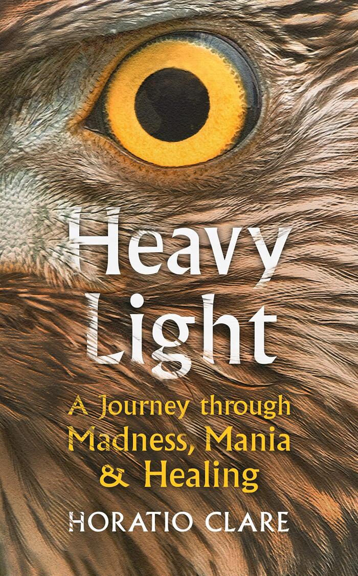 Heavy Light: A Journey Through Madness, Mania And Healing