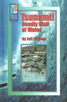 Tsunami!: Deadly Wall of Water