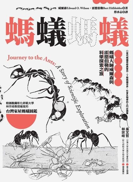螞蟻螞蟻