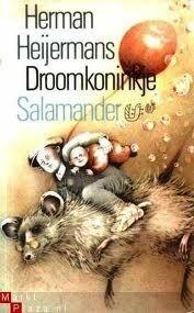 Droomkoninkje