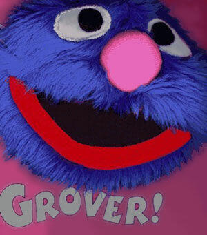 Sesame Street Furry Face Boxed Set