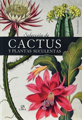 Selección de Cactus y Plantas Suculentas