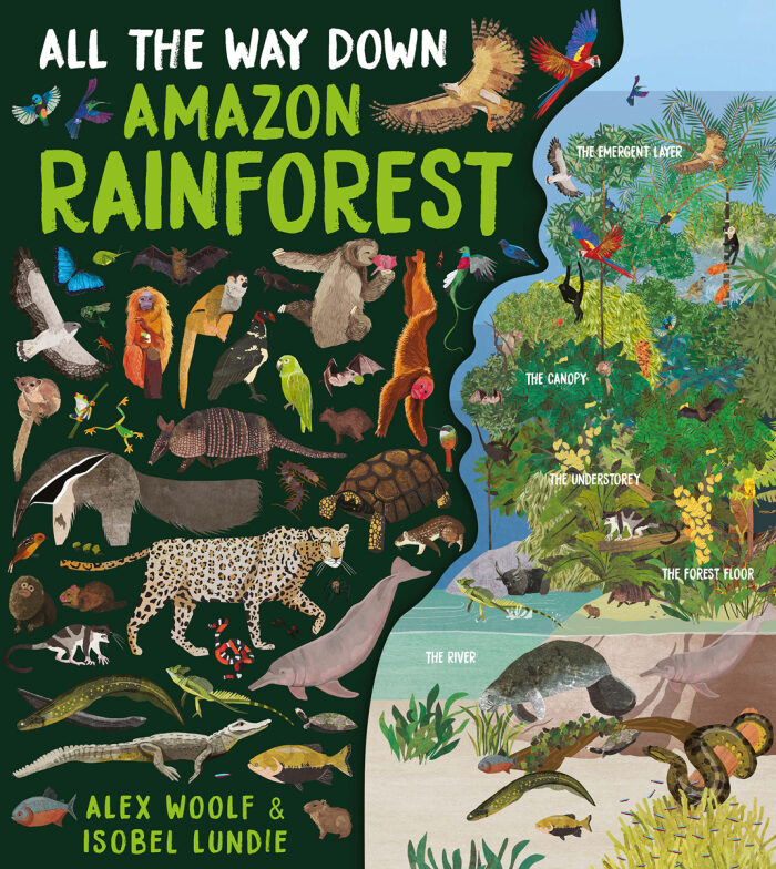 Amazon Rainforest