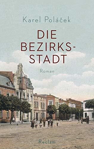 Die Bezirksstadt: Roman
