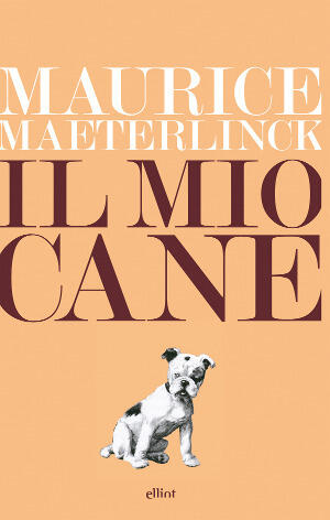 Il mio cane