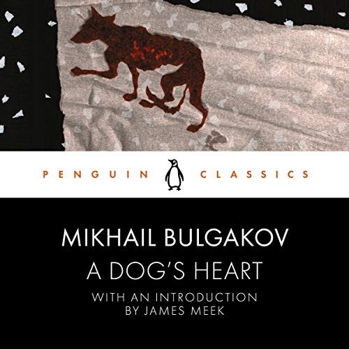 A Dog's Heart