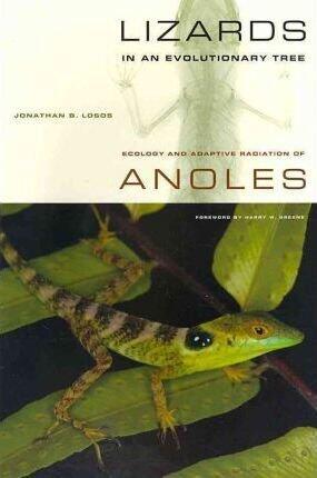 Lizards in an Evolutionary Tree: Ecology and Adaptive Radiation of Anoles (Organisms and Environments) 1st (first) edition Text Only