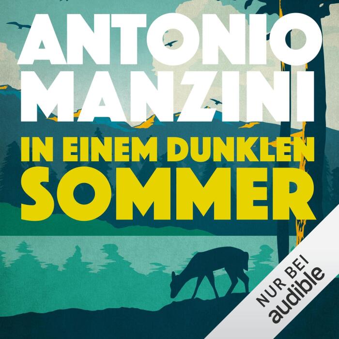 In einem dunklen Sommer: Rocco Schiavone ermittelt 6