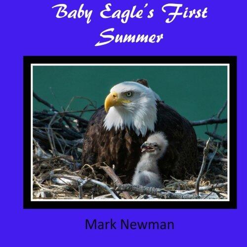 Baby Eagle's First Summer